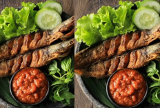 Resep Lele Goreng Kriuk ala Warung Pecel Lele Gurih, Renyah, dan Tidak Amis!