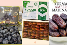 5 Kurma Termahal di Dunia, Wajib Tahu dan Wajib Coba Sebelum Ramadan!
