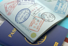 WNA di Indonesia, Tak Perlu Repot untuk Perpanjang Visa dan Izin Tinggal, Begini Caranya kuy Simak