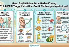 Menu Bayi 9 Bulan Berat Badan Kurang: Trik MPASI Tinggi Kalori Biar Grafik Timbangan Ngebut Naik