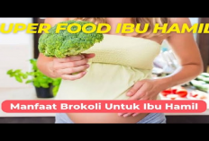 8 Manfaat Sayur Brokoli untuk Ibu Hamil, Bisa Mencegah Cacat Saraf Pada Janin, Jangan Lupa di Konsumsi Ya Bun!