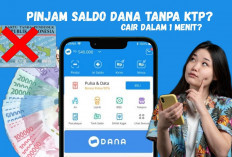Tanpa KTP, Begini Cara Pinjam Rp1 Juta dengan Tenor 12 Bulan di Aplikasi DANA, Cepat Cair Tanpa Nunggu Lama!