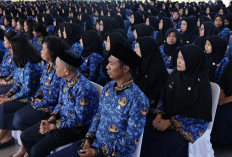 ManPAN RB Ungakap Nasib Honorer Dengan Status R2 dan R3 Pada Seleksi Hasil Kelulusan PPPK Tahap 1