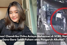 Panas! Chandrika Chika Aniaya Mahasiswi di SCBD, Hanya Gara-Gara Salah Paham atau Pengaruh Alkohol?