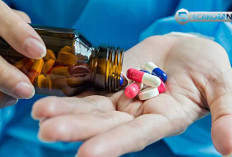 Waspadalah! 6 Jenis Obat yang Berpotensi Merusak Ginjal, Bagaimana Obat Tradisional atau Herbal?