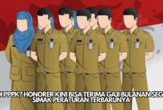 Diangkat PPPK? Tenaga Honorer Kini Bisa Terima Gaji Bulanan Segini! Simak Peraturan Terbarunya