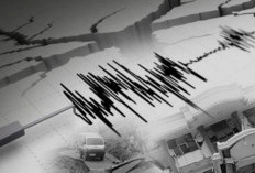 Gempa Bumi Melanda Kabupaten Konawe Sulawesi Utara, Ini Kekuatannya! 