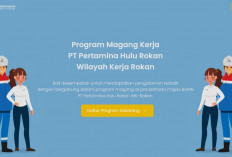 Tanpa Batas Usia, Pertamina Hulu Rokan Buka Program Magang untuk Lulusan D3, D4 dan S1, Yuk Daftar Sekarang!