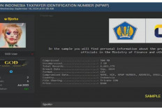 6 Juta Data NPWP Indonesia Dibobol Hack dan Dijual Dengan Harga Rp150 Juta, Ulah Siapa Nih?