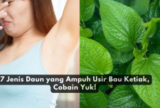 7 Jenis Daun yang Ampuh Usir Bau Ketiak, Cobain Yuk!