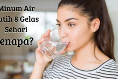 Tahukah Kamu Kenapa Orang Dewasa Harus Minum Air Putih 8 Gelas Sehari? Begini Faktanya...