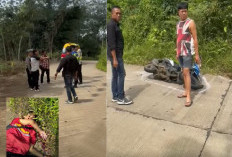 Motor Karyawan Alfamart Batu Urip Lubuklinggau Terguling, Pengemudinya Tewas