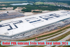 Tesla PHK 601 Karyawan Lagi, Totalnya Sudah Capai Segini Sejak Awal Tahun!