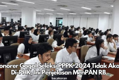 Kabar Baik! Tenaga Honorer Gagal Seleksi PPPK 2024 Tidak Akan Di-PHK, Ini Penjelasan MenPAN RB