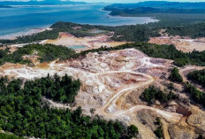 Bukan Hanya di Raja Ampat, Pulau Eksotis di Daerah Ini Juga Rusak Gegara Aktivitas Tambang!