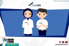 Begini Cara Cek Hasil Sanggah dan 4 Tahap Setelah Pengumuman Pasca Sanggah, Pelamar CPNS Wajib Catat!