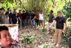 Tak Tahan Sembunyi di Dalam Hutan, Pria yang Menebas Leher Saudara Sepupu Menyerahkan Diri ke Polisi