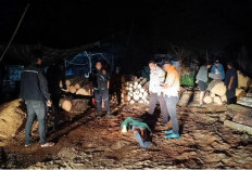 Selisih Paham Tengah Malam, Pelaku Pukul Korban Pakai Besi, Jatuh Lalu Ditikam Sajam