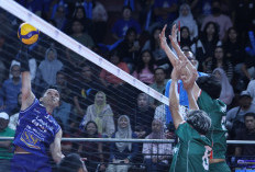 Kalahkan Garuda Jaya 3-0, Jakarta LavAni Buka Jalur ke Final Proliga 2026
