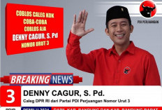 Denny Cagur Lolos Jadi Anggota DPR RI, Netizen Sedih 'Apakah Nggak Tampil di TV Lagi?'