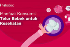 6 Manfaat Mengkonsumsi Telur Bebek Bagi Kesehatan yang Jarang Diketahui, Salah Satunya Bikin Cerdas Benarkah?