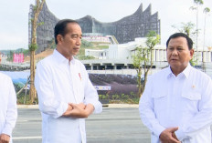 Luhut Binsar Pandjaitan Bocorkan Rencana Terkait Pembangunan IKN di Era Prabowo 