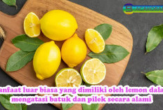 Mengungkap Rahasia Tersembunyi Lemon dalam Melawan Batuk dan Pilek, Sumber Daya Alami yang Luar Biasa