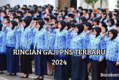 Calon PNS Wajib Tahu! Berikut Rincian Gaji 2024 Dari Golongan I Sampai IV, Gaji Naik Kesejahteraan Meningkat