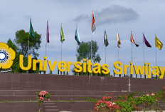 61 List Daya Tampung SNBP Universitas Sriwijaya Berdasarkan Jurusan untuk S1 dan D3, Pilih Prodimu Sekarang!