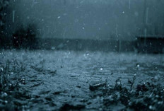 Hujan Lebat dan Angin Kencang Terus Mengguyur Manado, Ini Imbauan BMKG