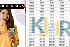 KUR BRI 2025: Pinjaman Mudah Mulai Rp20 Juta Hingga Rp500 Juta, Cukup Pakai KTP!