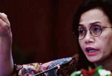 Sri Mulyani Indrawati Melakukan Pertemuan Dengan Presiden Terpilih Prabowo, Benarkah Membahas Masalah Kabinet?