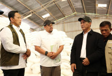 Banjir Tak Pengaruhi Stok Beras, Ini Langkah Pemerintah Pulihkan Lahan Pertanian di Sumatera