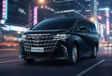 Toyota Alphard XE Jadi Primadona Baru: Mobil Mewah Tapi Harga Murah?