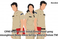 Peserta CPNS Harus Tau! Ini Pasal-pasal yang Biasa Muncul dalam Sesi TWK, Pelajarin Yok Biar Lulus