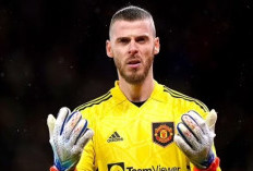 David De Gea Akhirnya Berdamai, OTW ke  Fiorentina