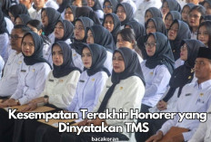 Jangan Panik! Honorer Dinyatakan TMS di Seleksi Administrasi PPPK 2024? Ini Langkah Terakhir yang Wajib Dicoba