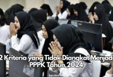 Peluang Hangus! 2 Kriteria Tenaga Honorer Ini Kehilangan Kesempatan Diangkat Jadi PPPK 2024, Kamu Termasuk?