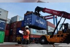 Bea Cukai Perkuat Asistensi Ekspor Nasional, Dorong Daya Saing Produk Indonesia ke Pasar Global