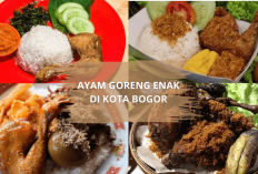 5 Ayam Goreng Enak di Bogor ini Wajib Kamu Cobain, Gaspol Lezatnya Bikin Lidah Bergoyang Lurs!