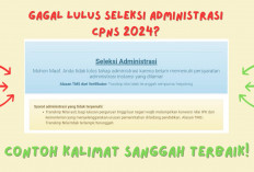 Gagal Seleksi CPNS 2024? Sabar, Ini Contoh Kalimat Sanggah Terbaik yang Bikin Kamu Lolos Lagi!