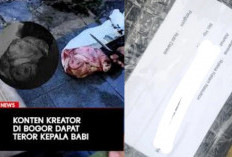 Kreator Konten di Bogor Dapat Teror Paket Kepala Babi, Polisi Turun Tangan