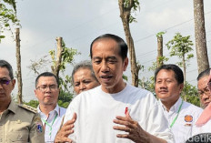 Upacara Perayaan HUT RI Ke-79 di IKN Menuai Banyak Kritikan, Begini Tanggapan Presiden Jokowi...