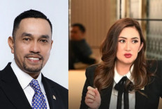 Fraksi Nasdem Minta DPR Hentikan Gaji dan Tunjangan Ahmad Sahroni dan Nafa Urbach? Cek Faktanya!