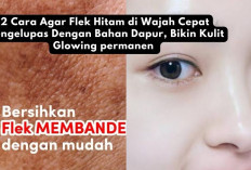 2 Cara Agar Flek Hitam di Wajah Cepat Mengelupas Dengan Bahan Dapur, Bikin Kulit Bersih & Glowing Permanen 