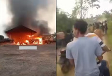 Rusuh di Kebun Sawit PT BCP, Terdengar Rentetan Letusan Senjata, Satu Tewas dan Tiga Luka Tembak
