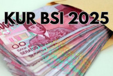 KUR BSI 2025, Pinjaman Syariah hingga Rp50 Juta Tanpa Bunga, Ini Simulasi Cicilannya!
