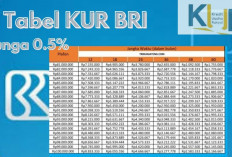 Pinjaman KUR BRI Anti Ribet, Modal Hingga Rp100 Juta dengan Bunga 0.5 Persen, Yuk Ajukan Sekarang!