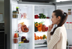 Harga Mulai Rp2 Jutaan! 5 Kulkas 2 Pintu Low Watt yang Cocok untuk Keluarga Modern