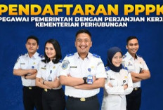 Simak! Kemenhub Umumkan Seleksi PPPK 2024: Ini Kriteria, Syarat dan Jadwal